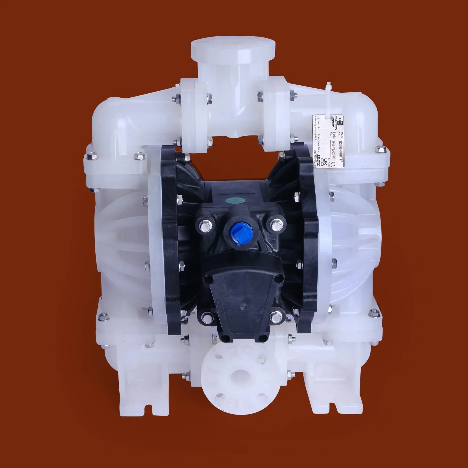 DSCF7490.webp