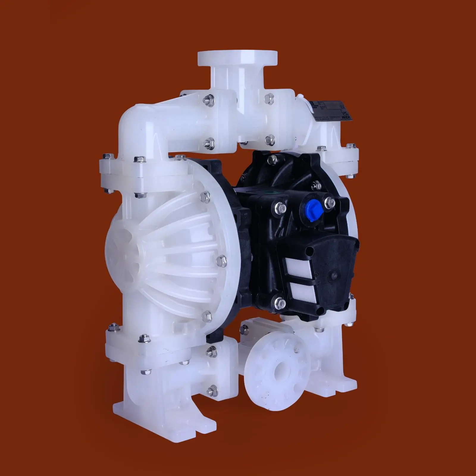 DSCF7502.webp