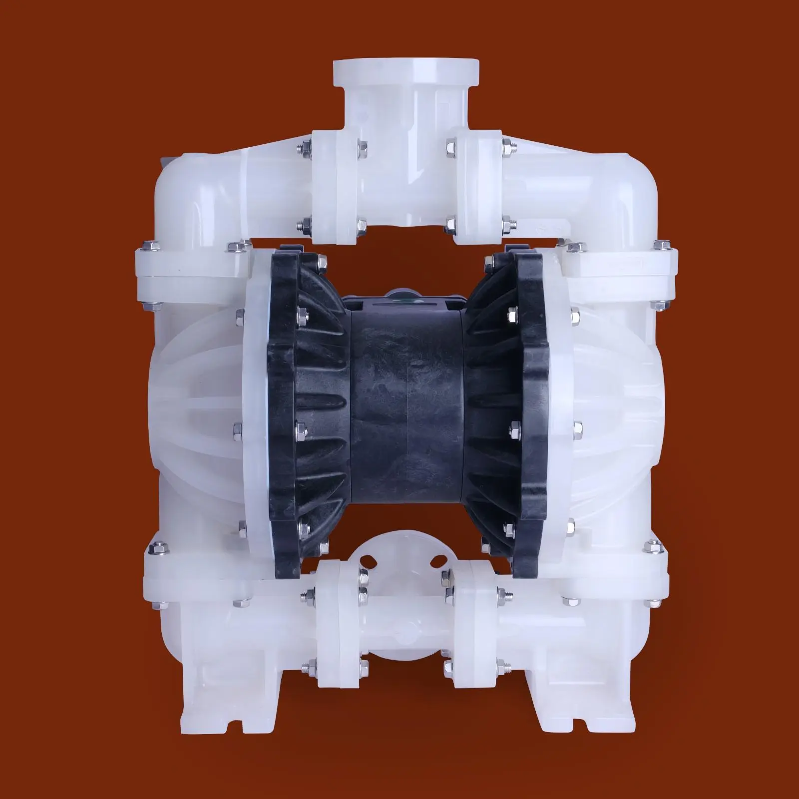 DSCF7508.webp