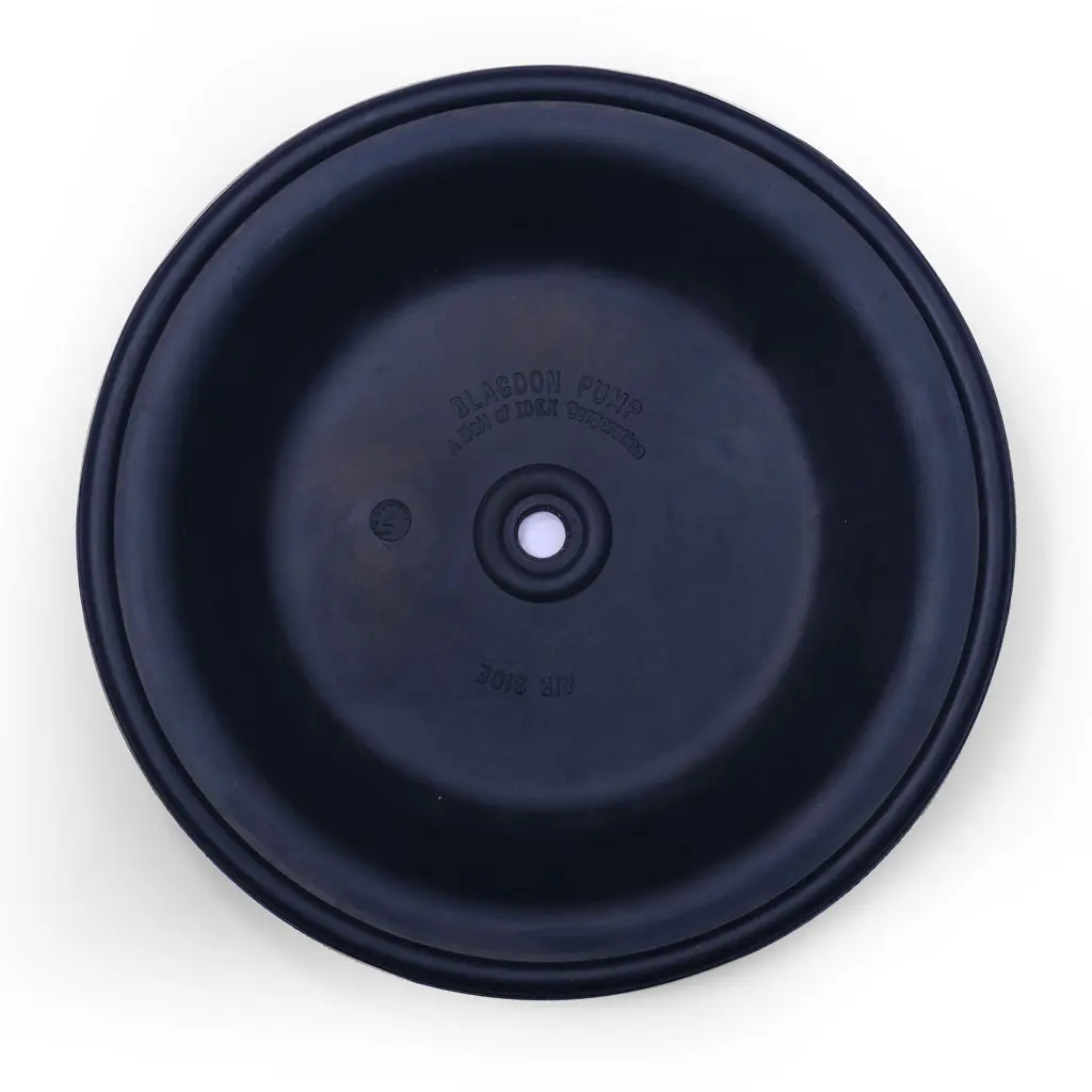 14-Diaphragm_01.webp