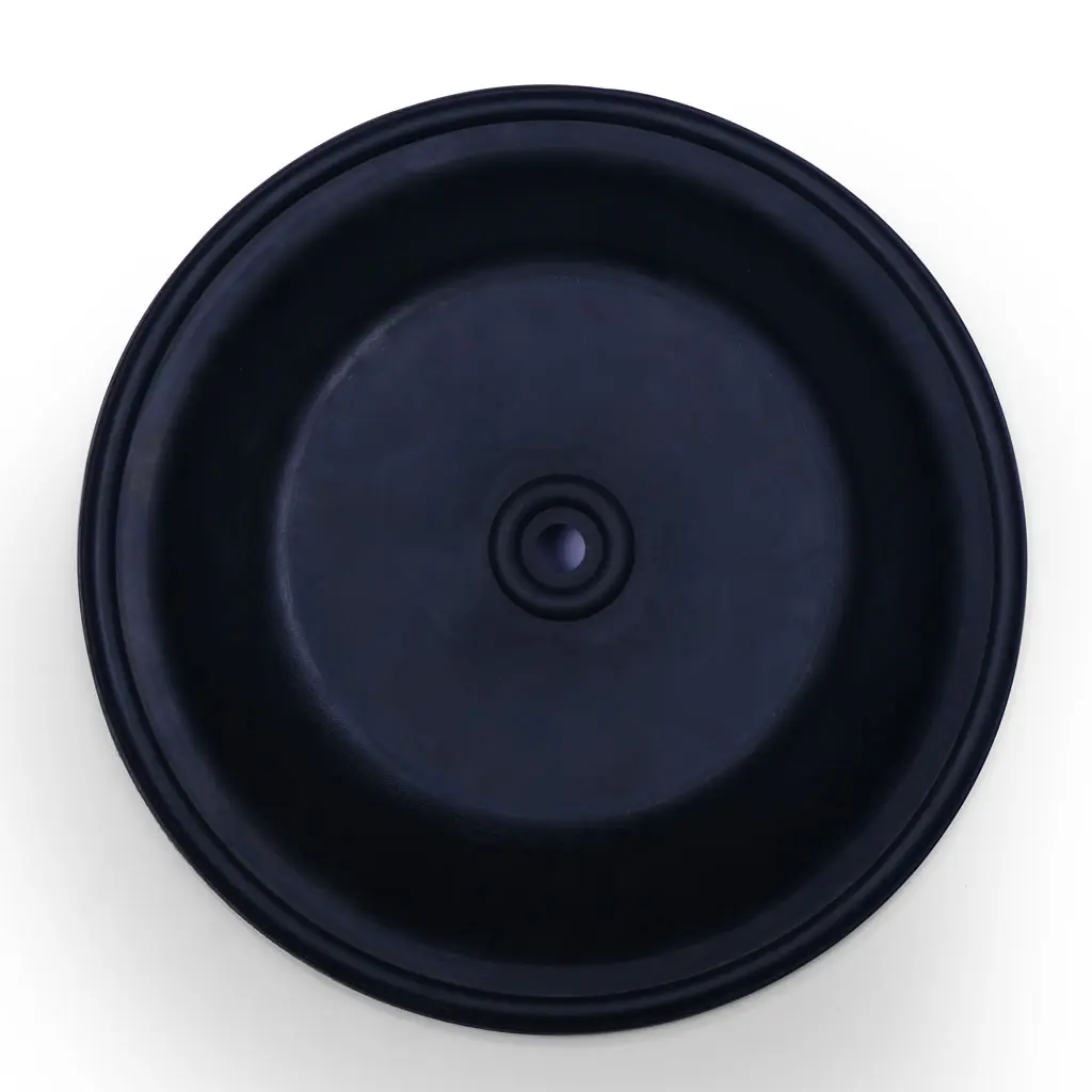 14-Diaphragm_02.webp