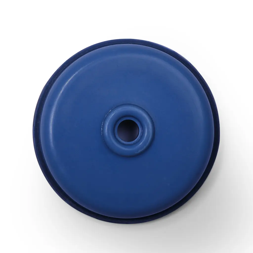 22-Diaphragm-Santoprene---1inch_02.webp