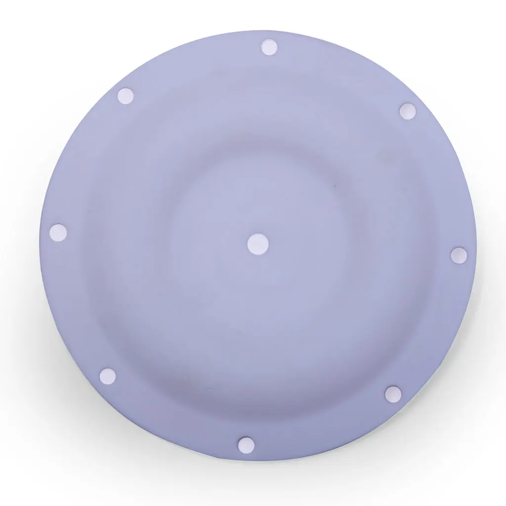 33-Diaphragm-Teflon---1by2_01.webp