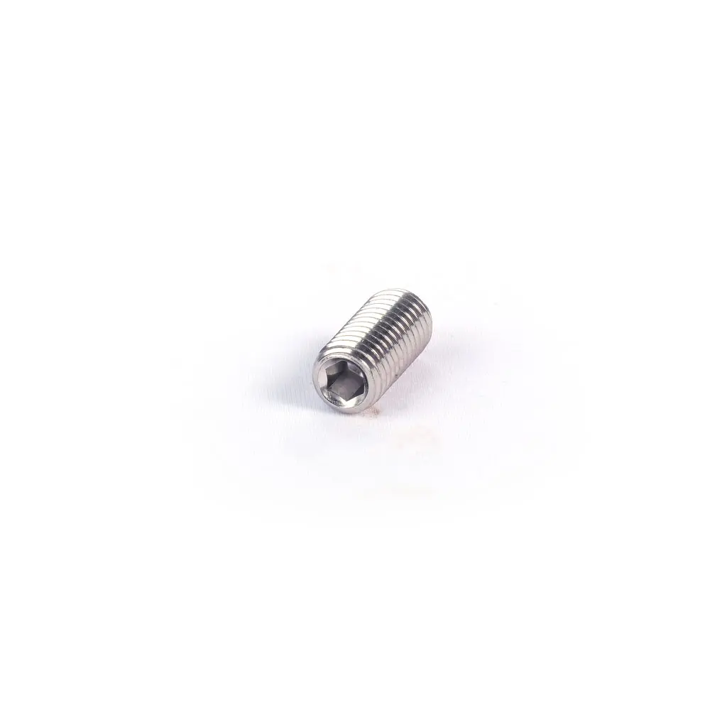 Shaft allen pin screw AISI 304 12554050