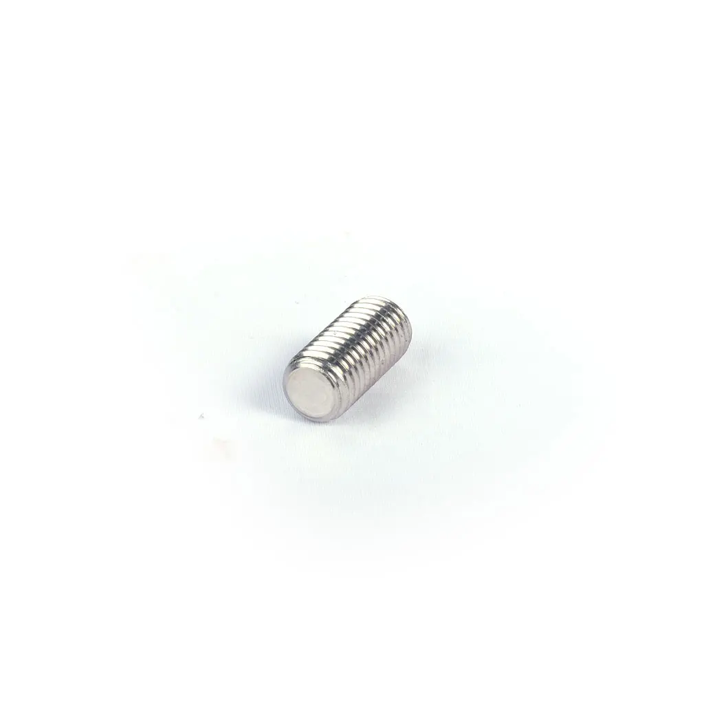 Shaft allen pin screw AISI 304 11554050