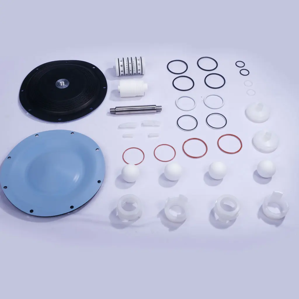 Set 2 Service Kit DM40-PTT