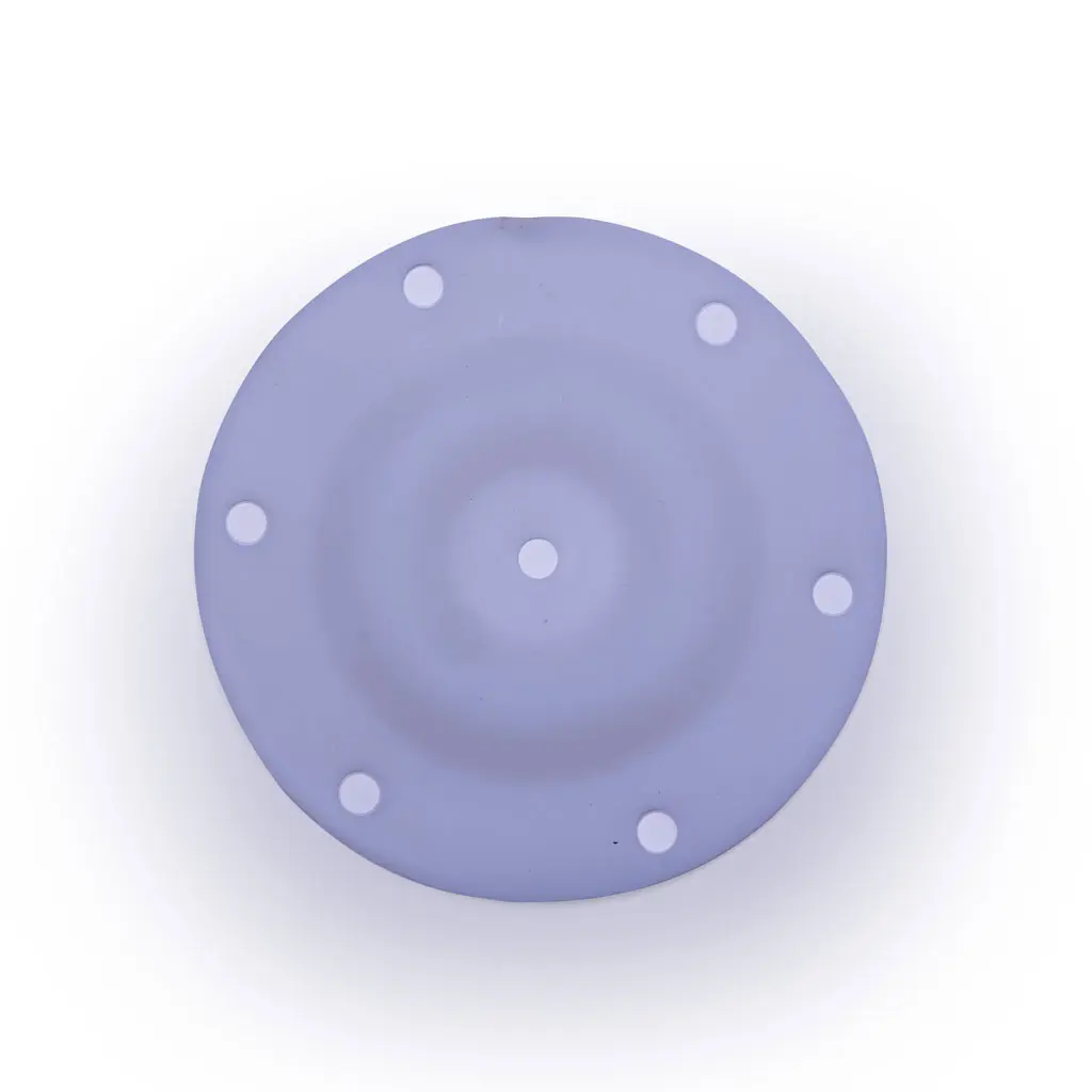 Diaphragm PTFE Poly - 1/4" 06-063