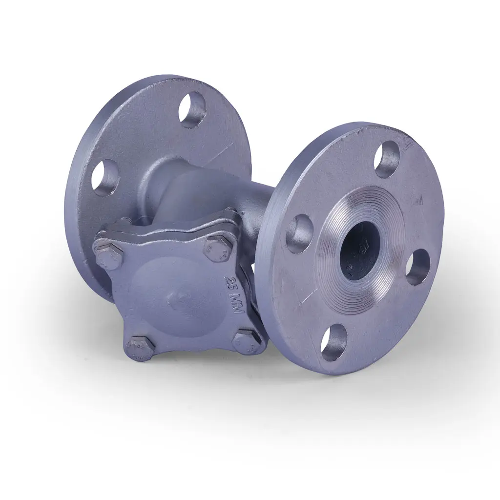 Y Type Strainer Flanged End SS316 - 1"