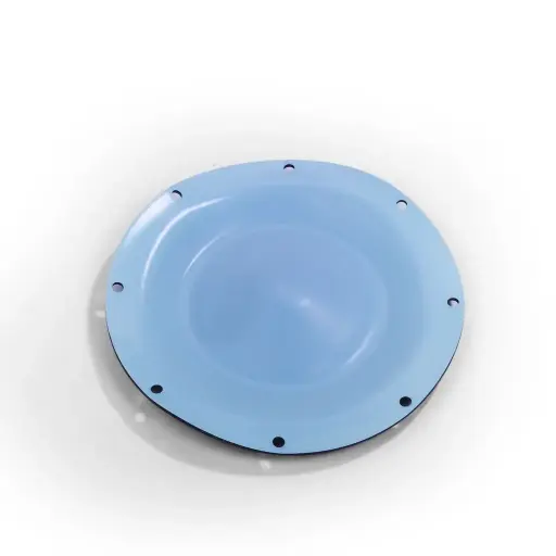[1505005] Diaphragm Teflon 1505005