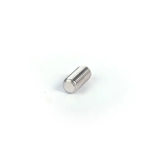 [11554050] Shaft allen pin screw AISI 304 11554050
