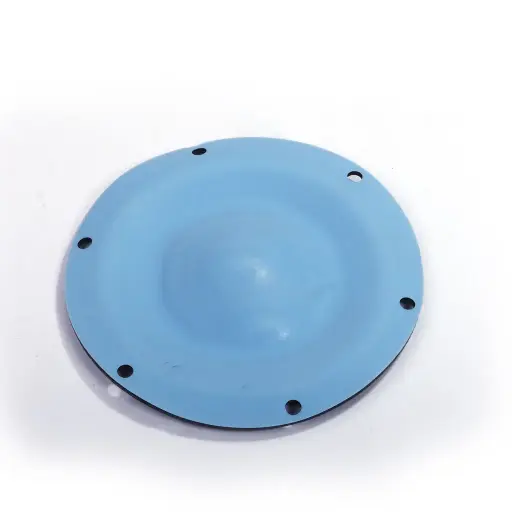 [1405005] Diaphragm Teflon 1405005