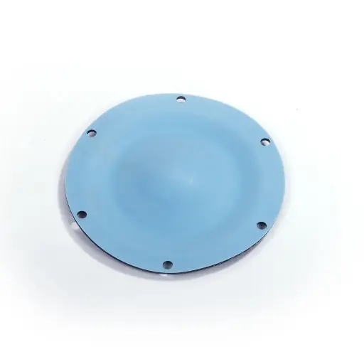 [1155005] Diaphragm Teflon 1155005