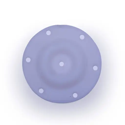 [06-063] Diaphragm PTFE Poly - 1/4" 06-063