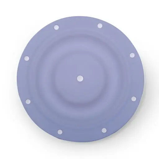 [25-016] Diaphragm Teflon - 1 inch 25-016