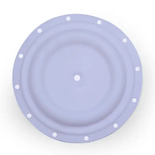 [1B-039] Diaphragm Teflon - 2" 1B-039